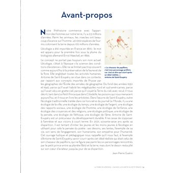 Sauver la planète en jouant avec le Petit Prince