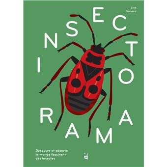 Insectorama