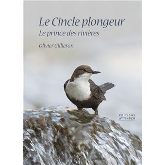 Le cincle plongeur
