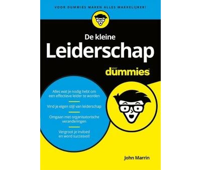 De kleine leiderschap voor dummies