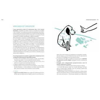 Mon chien a un problème