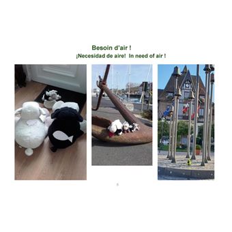 La vie deauvillaise