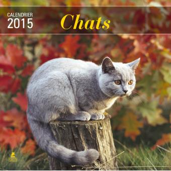 Calendrier Chats 15 Broche Collectif Achat Livre Fnac