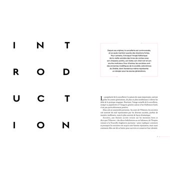 Sorcières, une histoire secrète