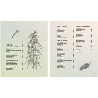 Et ajoutez un soupçon de CBD - des recettes qui ont du goût et font de l'effet