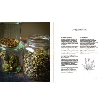 Et ajoutez un soupçon de CBD - des recettes qui ont du goût et font de l'effet