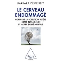 Le Cerveau endommagé