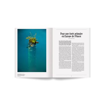 Arbres - 100 photos pour la liberté de la presse - N° 70