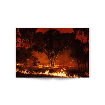 Arbres - 100 photos pour la liberté de la presse - N° 70