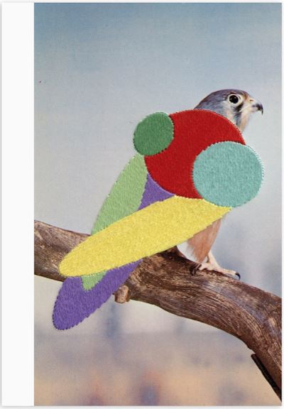 Stickybeak