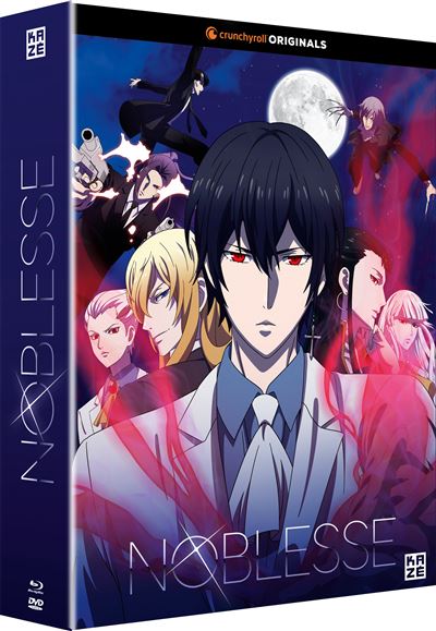 Coffret Noblesse Saison 1 Combo Blu-ray DVD