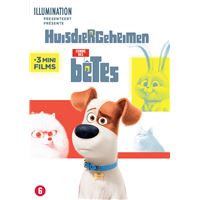Huisdiergeheimen (Secret life of pets)