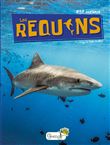 Les requins