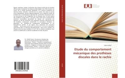 Etude du comportement mecanique des protheses discales dans
