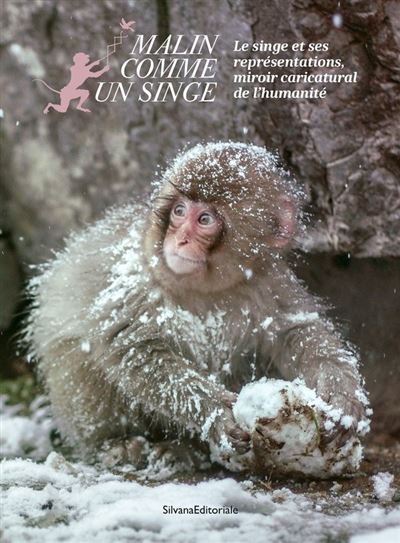 Malin comme un singe - Yoann Groslambert - broché
