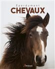Eperdument chevaux