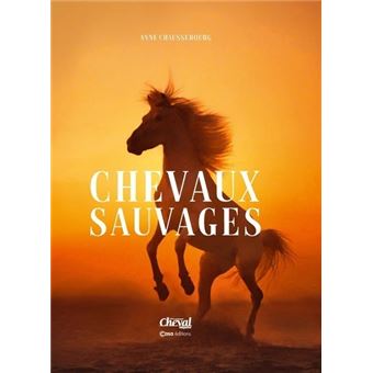 Chevaux Sauvages