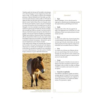 Chevaux Sauvages
