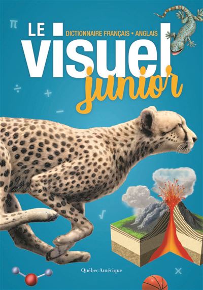 Le dictionnaire visuel junior -  Collectif - cartonné