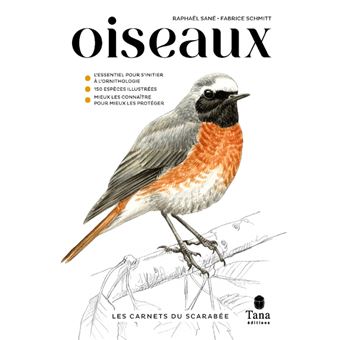 Les carnets du scarabée - Oiseaux