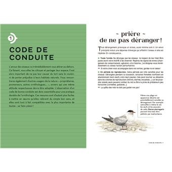Les carnets du scarabée - Oiseaux