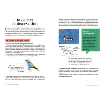 Les carnets du scarabée - Oiseaux