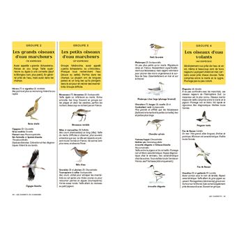 Les carnets du scarabée - Oiseaux