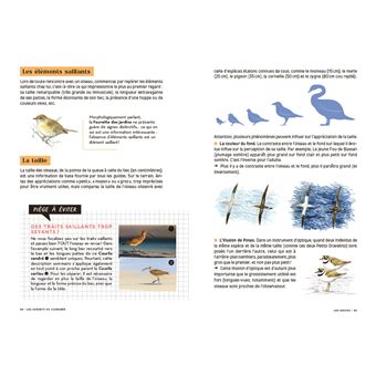 Les carnets du scarabée - Oiseaux