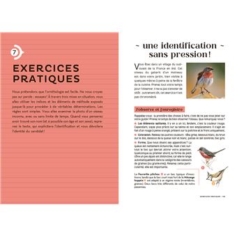 Les carnets du scarabée - Oiseaux