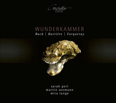 Wunderkammer/chambre des merveilles