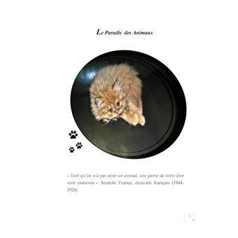 Le paradis des Animaux