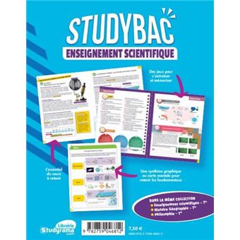 Cahier Studybac - Enseignement scientifique - première - tronc commun