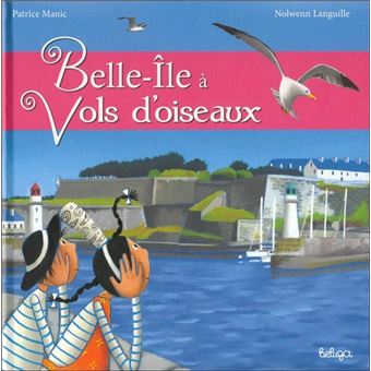 Bell-Île à vol d'oiseaux