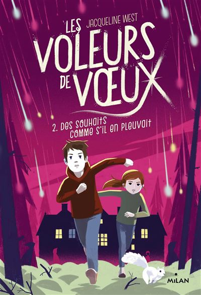 Les voleurs de voeux