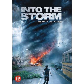 INTO THE STORM (DVD)(IMP)