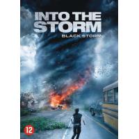 INTO THE STORM (DVD)(IMP)
