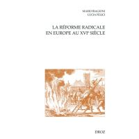 La Réforme radicale en Europe au XVIe siècle