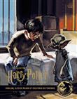 La collection Harry Potter au cinéma, vol 9