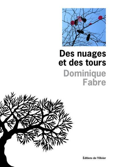 Des nuages et des tours - Dominique Fabre - broché