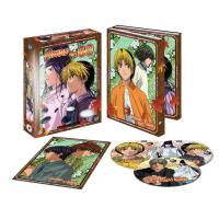 Hikaru No Go