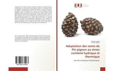 Adaptation des semis de Pin pignon au stress combiné hydrique et thermique