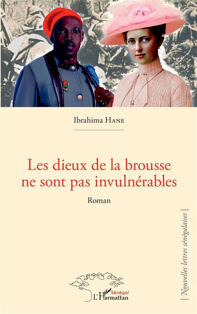 Les dieux de la brousse ne sont pas invulnérables Roman broché