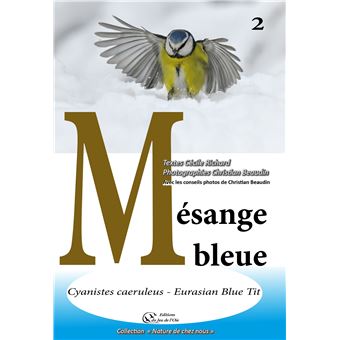 Mésange bleue