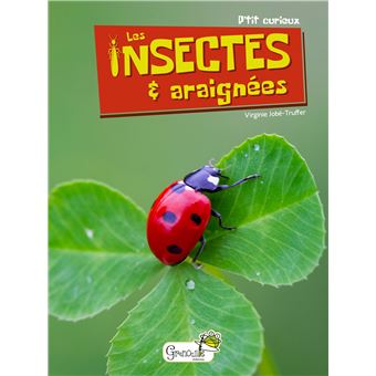 Les insectes et araignées