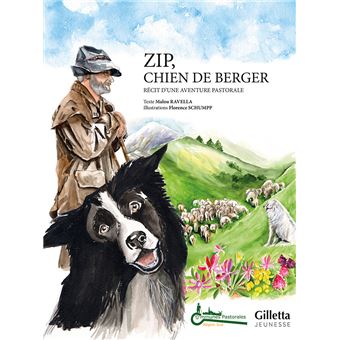 Zip, chien de berger