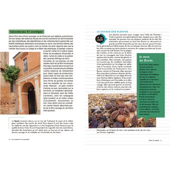 Les carnets du scarabée Arbres