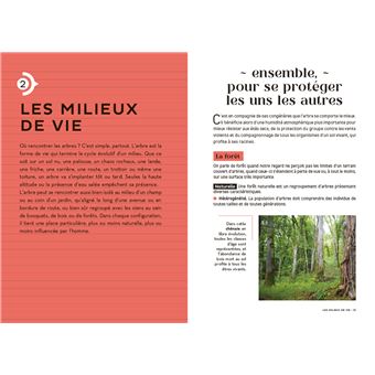Les carnets du scarabée Arbres