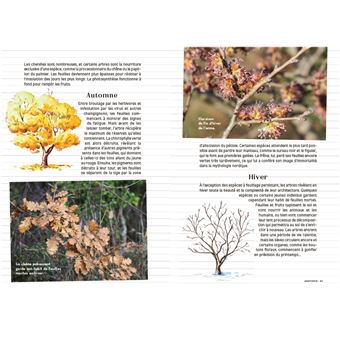 Les carnets du scarabée Arbres