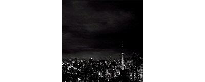 BLACK CITY PARADE/2LP