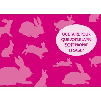 Un lapin en semi-liberté chez moi, c'est possible !